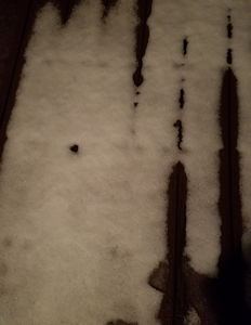 Patches of Snow patches of snow