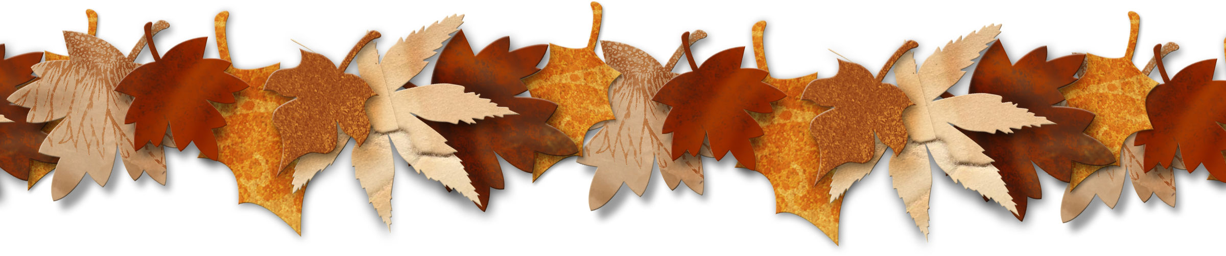 Fall Colored Leaves Dividing Line Image