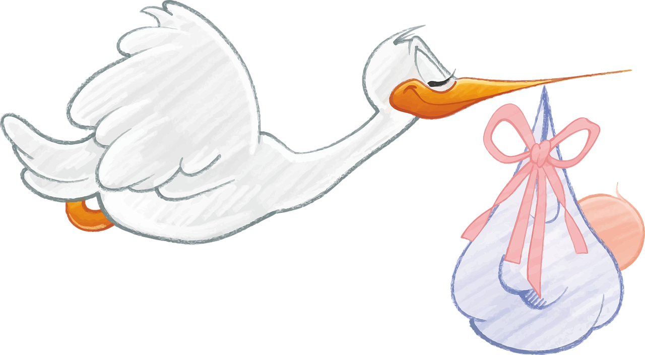 Stork delivering a baby - Image Stork delivering a baby - Image